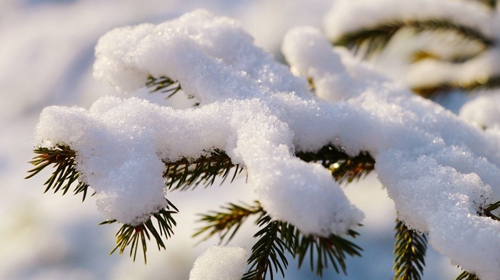冬至团圆味，好牙享口福——莱沃口腔祝您冬至安康