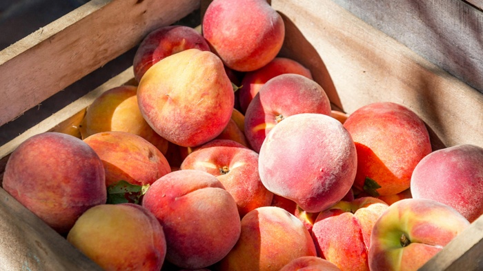 莱沃口腔‖水果大丰收，贪嘴可不行，小心你的牙齿“闹情绪”