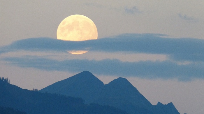 莱沃口腔‖元宵节，别让汤圆“甜坏”了牙齿！