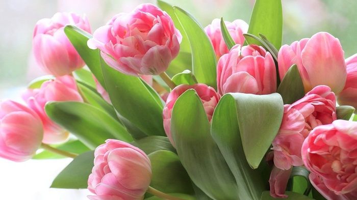 莱沃口腔‖妇女节快乐，做一位优“牙”女神