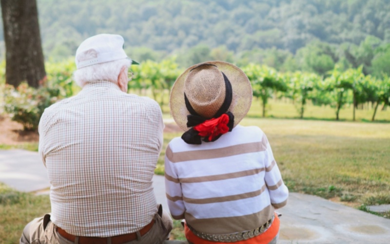 莱沃口腔‖假牙不是“终点站”，而是长辈们呵护口腔的新起点