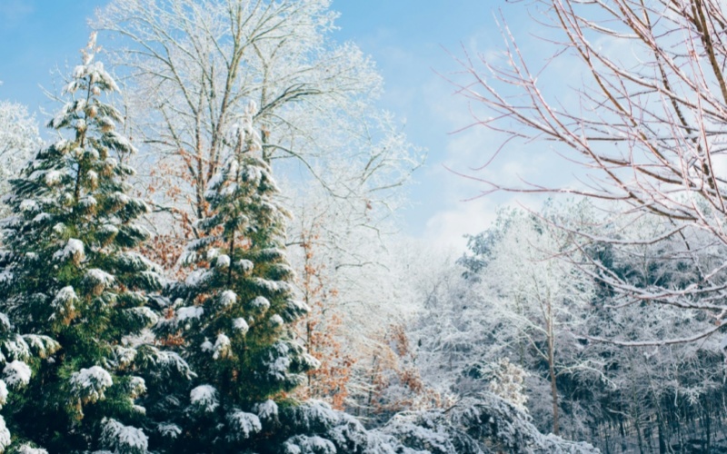 莱沃口腔‖冬至吃对这些美食，牙齿也能悄悄“享福”
